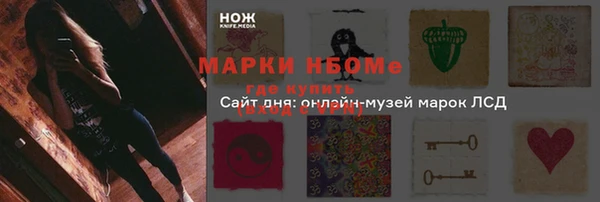 дмт Сосновоборск