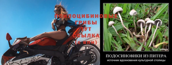 меф Алзамай