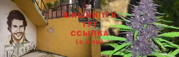 СК Алексеевка